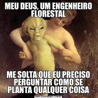 MEU DEUS, UM ENGENHEIRO FLORESTALME SOLTA QUE EU PRECISO PERGUNTAR COMO SE PLANTA QUALQUER COISA