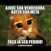 AJUDE SUA VENDEDORA BATER SUA METAFAÇA JÁ SEU PEDIDO!
