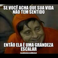 SE VOCÊ ACHA QUE SUA VIDA NÃO TEM SENTIDOENTÃO ELA É UMA GRANDEZA ESCALAR