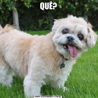 QUÊ?