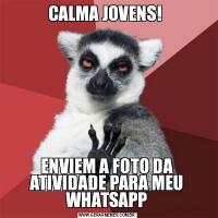 CALMA JOVENS! ENVIEM A FOTO DA ATIVIDADE PARA MEU WHATSAPP