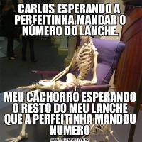 CARLOS ESPERANDO A  PERFEITINHA MANDAR O NÚMERO DO LANCHE.MEU CACHORRO ESPERANDO O RESTO DO MEU LANCHE QUE A PERFEITINHA MANDOU NUMERO