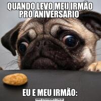 QUANDO LEVO MEU IRMÃO PRO ANIVERSÁRIO EU E MEU IRMÃO: