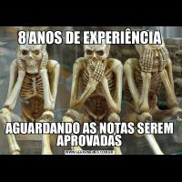 8 ANOS DE EXPERIÊNCIAAGUARDANDO AS NOTAS SEREM APROVADAS