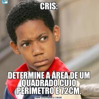 CRIS:DETERMINE A ÁREA DE UM QUADRADO CUJO PERÍMETRO É 72CM.