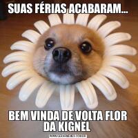 SUAS FÉRIAS ACABARAM...BEM VINDA DE VOLTA FLOR DA KIGNEL 