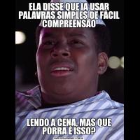 ELA DISSE QUE IA USAR PALAVRAS SIMPLES DE FÁCIL COMPREENSÃOLENDO A CENA, MAS QUE PORRA É ISSO?