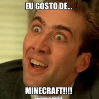 EU GOSTO DE...MINECRAFT!!!!