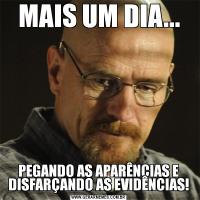 MAIS UM DIA...PEGANDO AS APARÊNCIAS E DISFARÇANDO AS EVIDÊNCIAS!