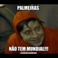 PALMEIRAS NÃO TEM MUNDIAL!!!