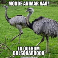 MORDE ANIMAR NÃO!EU QUERUM BOLSONAROOOH