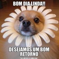 BOM DIA LINDA!!DESEJAMOS UM BOM RETORNO