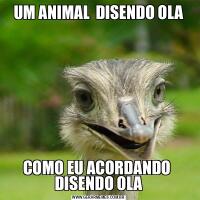 UM ANIMAL  DISENDO OLACOMO EU ACORDANDO  DISENDO OLA