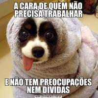 A CARA DE QUEM NÃO PRECISA TRABALHARE NÃO TEM PREOCUPAÇÕES NEM DÍVIDAS