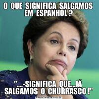 O  QUE  SIGNIFICA  SALGAMOS  EM  ESPANHOL ?&QUOT;....-SIGNIFICA  QUE...JÁ  SALGAMOS  O  CHURRASCO !&QUOT;