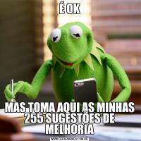 É OKMAS TOMA AQUI AS MINHAS 255 SUGESTÕES DE MELHORIA