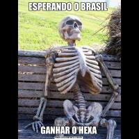 ESPERANDO O BRASIL GANHAR O HEXA