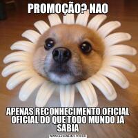 PROMOÇÃO? NAOAPENAS RECONHECIMENTO OFICIAL OFICIAL DO QUE TODO MUNDO JÁ SABIA