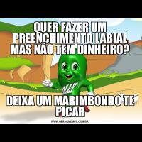 QUER FAZER UM PREENCHIMENTO LABIAL MAS NÃO TEM DINHEIRO?DEIXA UM MARIMBONDO TE PICAR