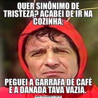 QUER SINÔNIMO DE TRISTEZA? ACABEI DE IR NA COZINHA;PEGUEI A GARRAFA DE CAFÉ E A DANADA TAVA VAZIA. 
