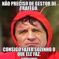 NÃO PRECISO DE GESTOR DE TRÁFEGO.CONSIGO FAZER SOZINHO O QUE ELE FAZ.