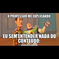 O PROFESSOR ME EXPLICANDO EU SEM ENTENDER NADA DO CONTEÚDO: