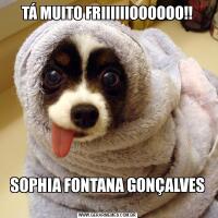 TÁ MUITO FRIIIIIIOOOOOO!!SOPHIA FONTANA GONÇALVES
