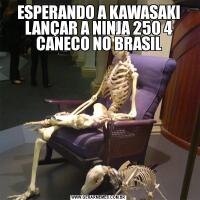 ESPERANDO A KAWASAKI LANÇAR A NINJA 250 4 CANECO NO BRASIL