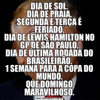 DIA DE SOL.
DIA DE PRAIA.
SEGUNDA E TERÇA É FERIADO.
DIA DE LEWIS HAMILTON NO GP DE SÃO PAULO.
DIA DE ÚLTIMA RODADA DO BRASILEIRÃO.
1 SEMANA PARA A COPA DO MUNDO.
QUE DOMINGO MARAVILHOSO.