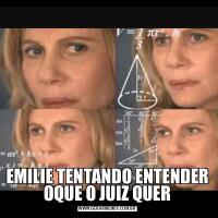 EMILIE TENTANDO ENTENDER OQUE O JUIZ QUER