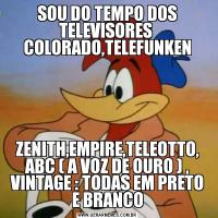 SOU DO TEMPO DOS TELEVISORES  COLORADO,TELEFUNKENZENITH,EMPIRE,TELEOTTO, ABC ( A VOZ DE OURO ) , VINTAGE : TODAS EM PRETO E BRANCO