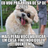 EU VOU PRA PROVA DE SP DE 2026 MAIS PERAI VOCE VAI FICAR EM CASA  FINGINDO QUE TA DUENTE NE