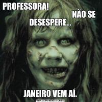 PROFESSORA!                                                                             NÃO SE DESESPERE...JANEIRO VEM AÍ.