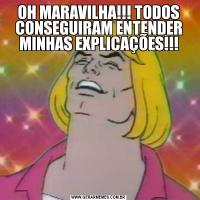 OH MARAVILHA!!! TODOS CONSEGUIRAM ENTENDER MINHAS EXPLICAÇÕES!!!