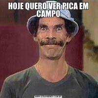 HOJE QUERO VER PICA EM CAMPO