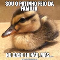 SOU O PATINHO FEIO DA FAMÍLIA NO CASO EU NÃO, MÁS....