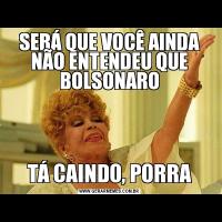SERÁ QUE VOCÊ AINDA NÃO ENTENDEU QUE BOLSONAROTÁ CAINDO, PORRA