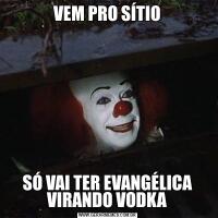 VEM PRO SÍTIOSÓ VAI TER EVANGÉLICA VIRANDO VODKA
