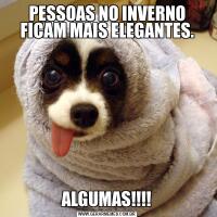 PESSOAS NO INVERNO FICAM MAIS ELEGANTES.ALGUMAS!!!!