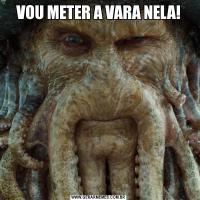 VOU METER A VARA NELA!