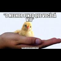 "O MELHOR PINTO QUE VOCÊ JÁ VIU"
