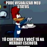 PODE VISUALIZAR MEU STATUSTÔ CURTINDO E VOCÊ TÁ NA MERDA!! ESCROTA