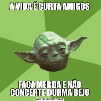 A VIDA É CURTA AMIGOSFAÇA MERDA E NÃO CONCERTE DURMA BEJO